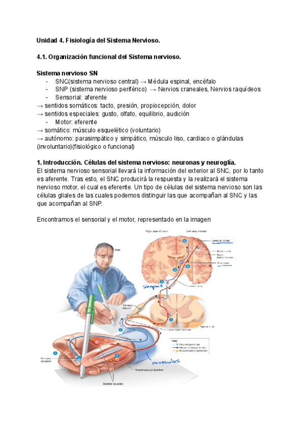 Miniatura del documento Unidad-4.pdf