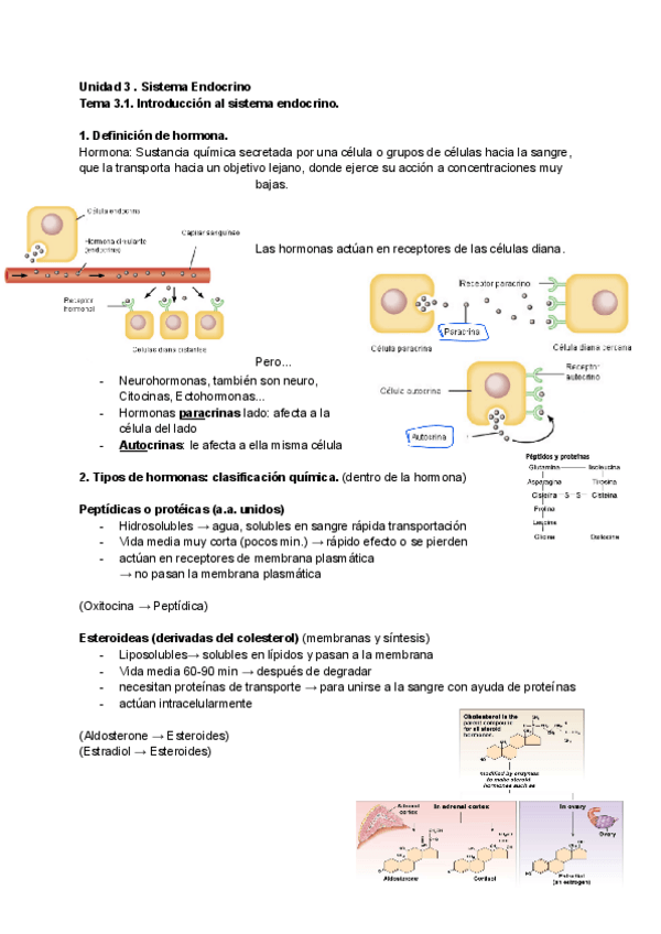 Miniatura del documento Unidad-3.pdf