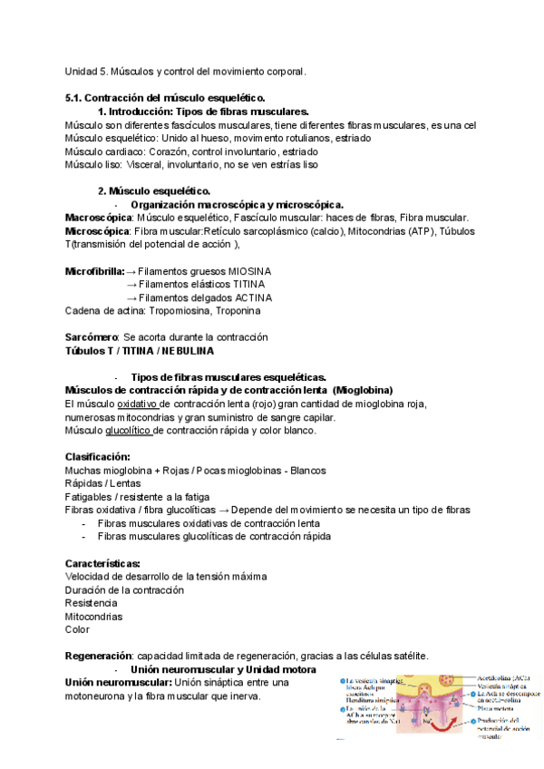 Miniatura del documento Unidad-5.pdf