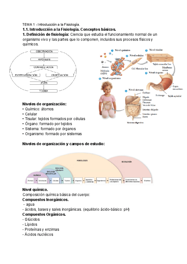Miniatura del documento UNIDAD-1.pdf