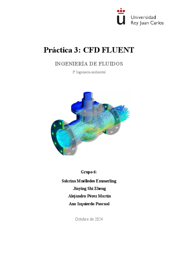 Miniatura del documento Memoria CFD, nota:7,75.pdf