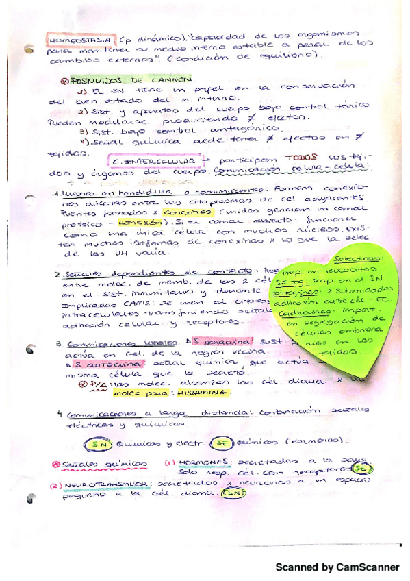 Miniatura del documento Fisio 2.2.pdf