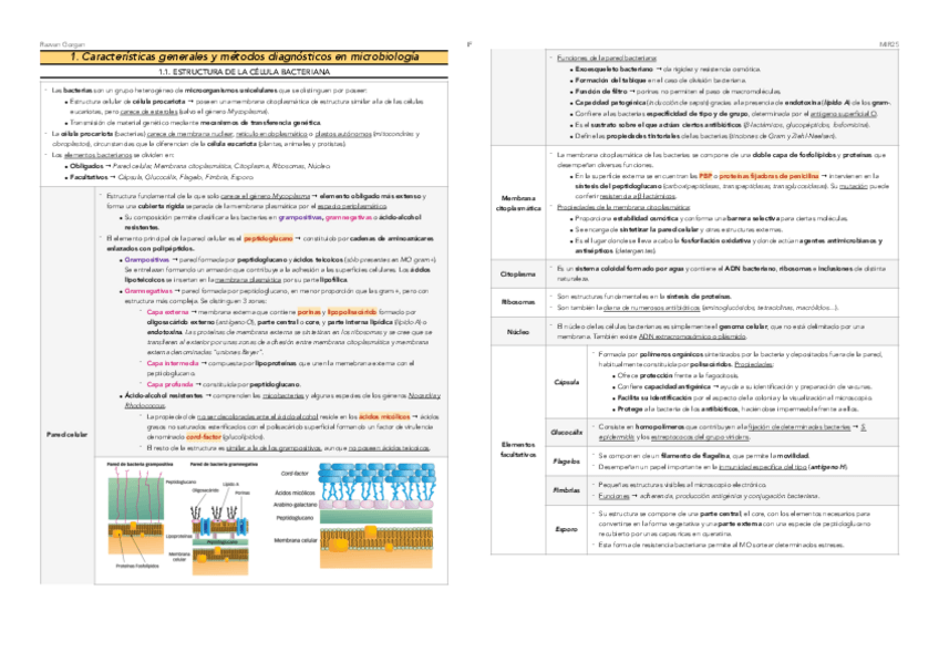 Miniatura del documento 1.-Generalidades.pdf