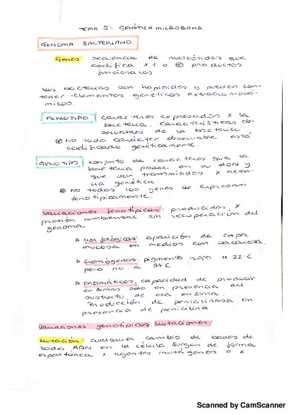 Miniatura del documento Genética microbiana.pdf