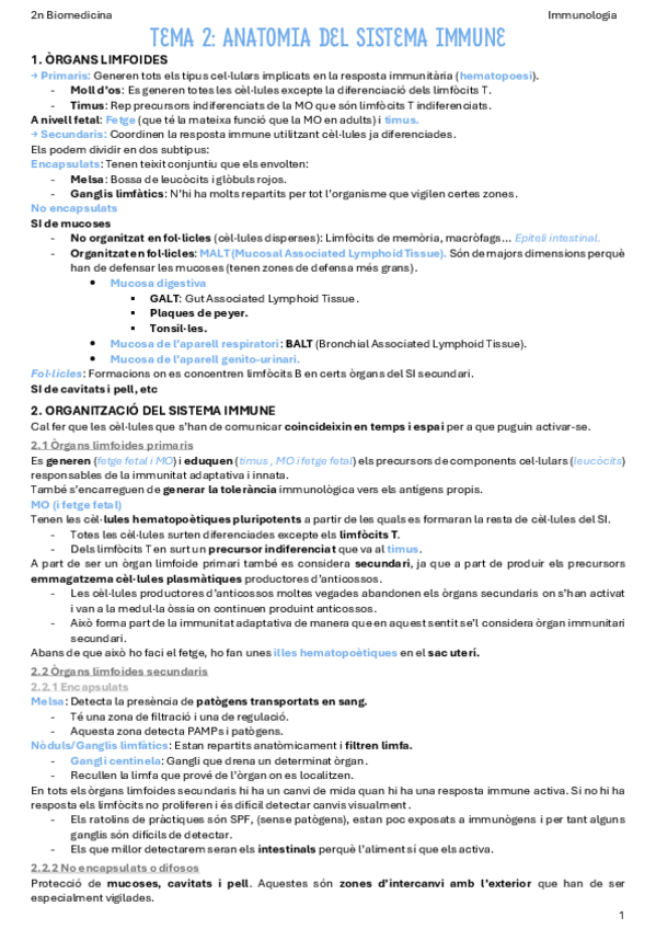Miniatura del documento T2-Anatomia-del-sistema-immune.pdf