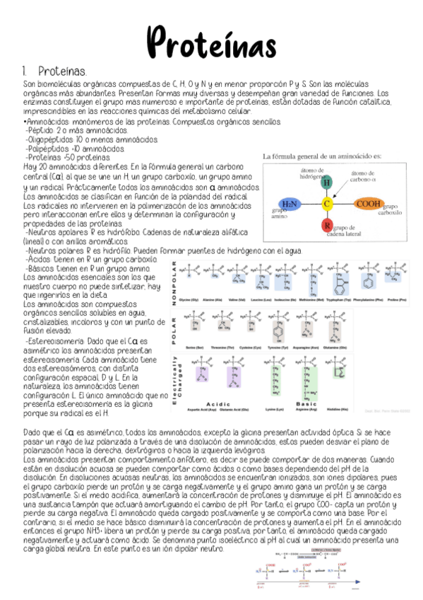 Miniatura del documento Biologia-proteinas.pdf