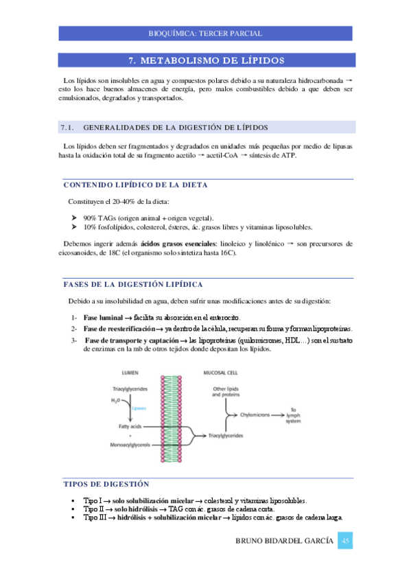 Miniatura del documento Apuntes-3o-parcial-bioquimica-2021-2022-PARTE-2.pdf