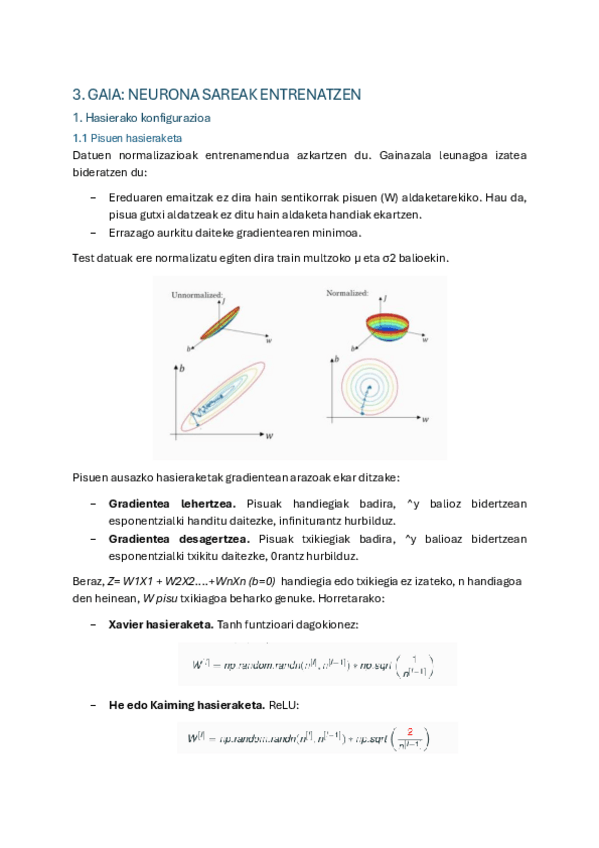 Miniatura del documento IANS-3.-Neurona-sareak-entrenatzen.pdf