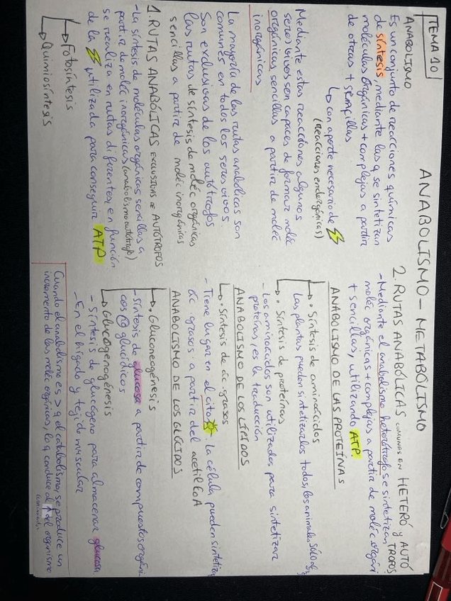 Miniatura del documento esquemas-ANABOLISMO.pdf