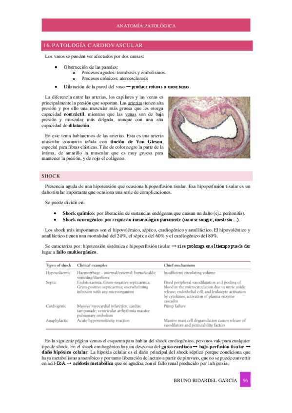 Miniatura del documento Apuntes-Anatomia-Patologica-2023-24-PARTE-2.pdf