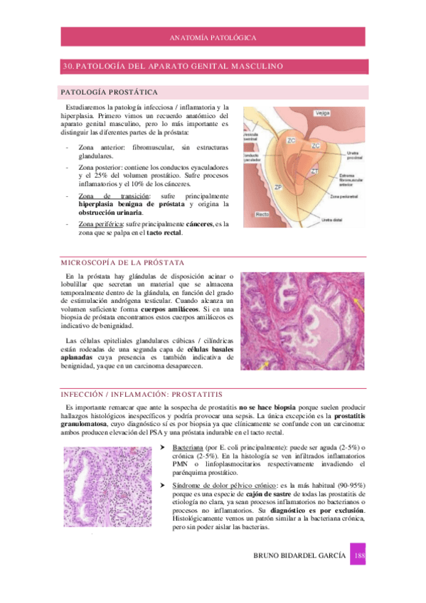 Miniatura del documento Apuntes-Anatomia-Patologica-2023-24-PARTE-3.pdf