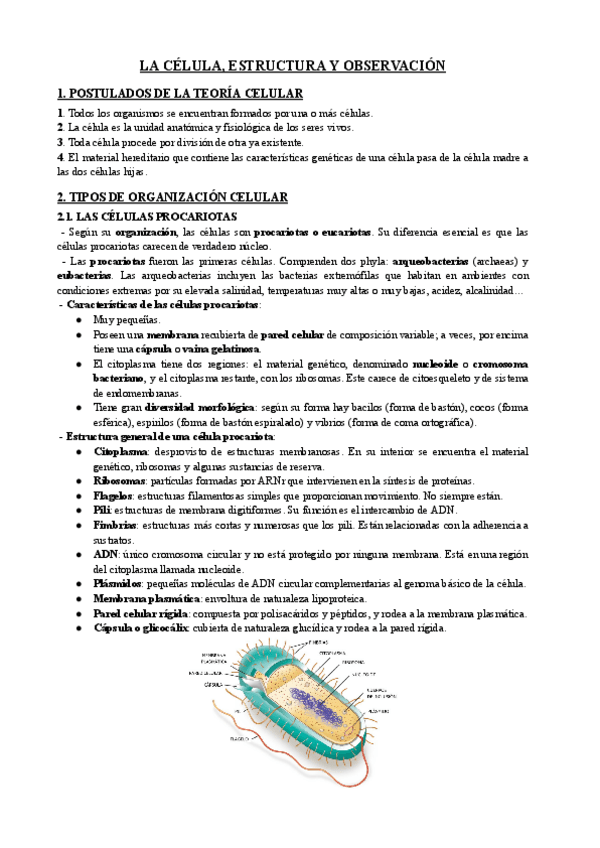 Miniatura del documento 3.1.-La-celula-estructura-y-observacion.pdf