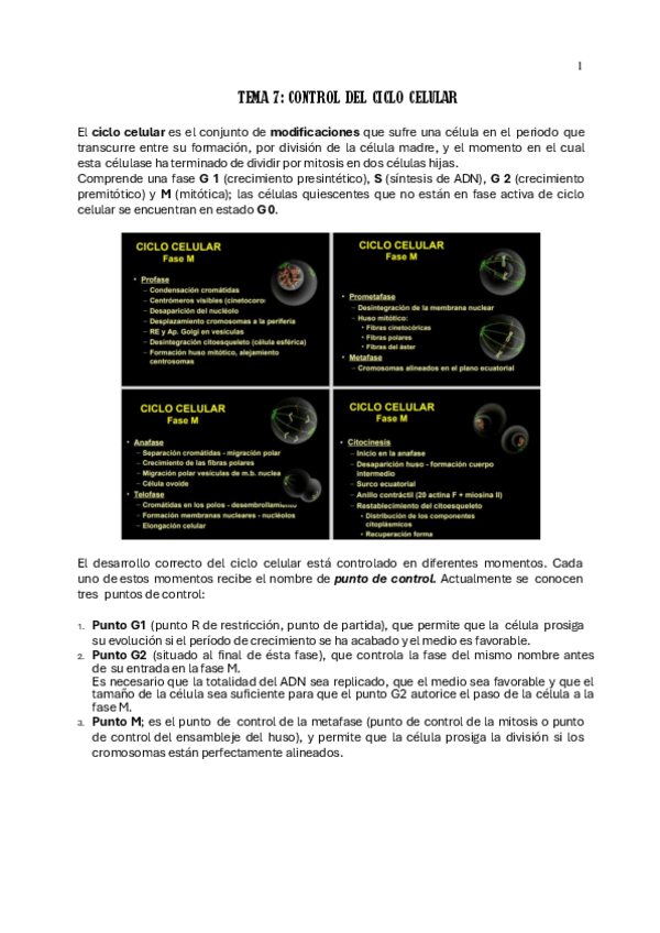 Miniatura del documento TEMA-7-CONTROL-DEL-CICLO-CELULAR.pdf
