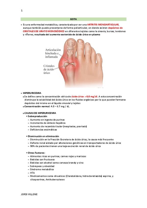Miniatura del documento GOTA.pdf