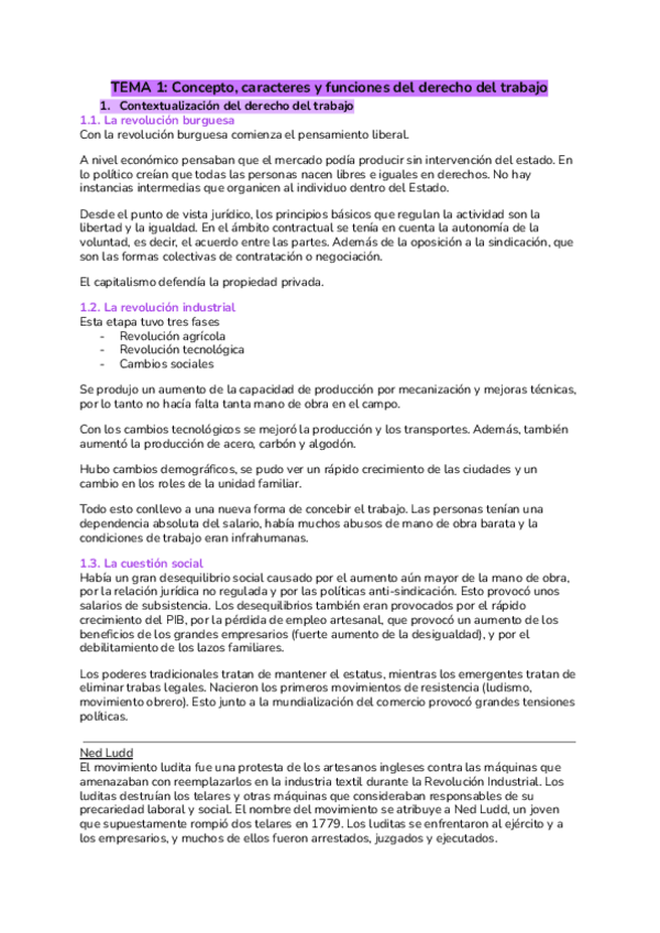 Miniatura del documento TEMA-1-Concepte-caracter-i-funcio-del-dret-del-treball.pdf
