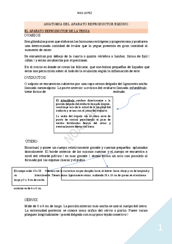 Miniatura del documento ANATOMIA-DEL-CABALLO.pdf