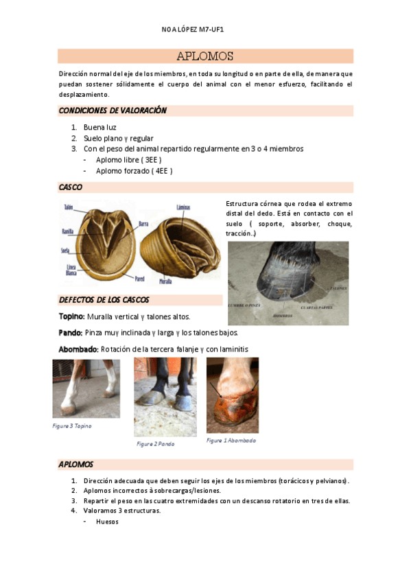 Miniatura del documento APLOMOS.pdf