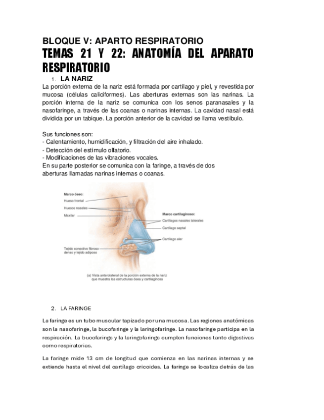 Miniatura del documento BLOQUE-V.pdf