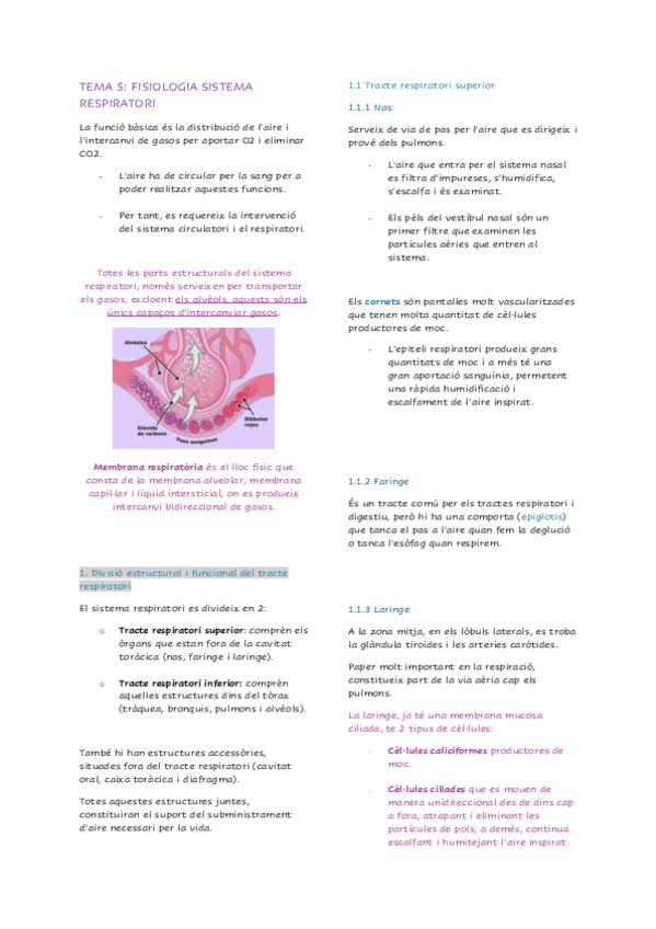 Miniatura del documento TEMA-5-FISIOLOGIA-SISTEMA-RESPIRATORI.pdf