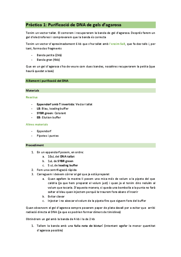 Miniatura del documento Practica-1.pdf