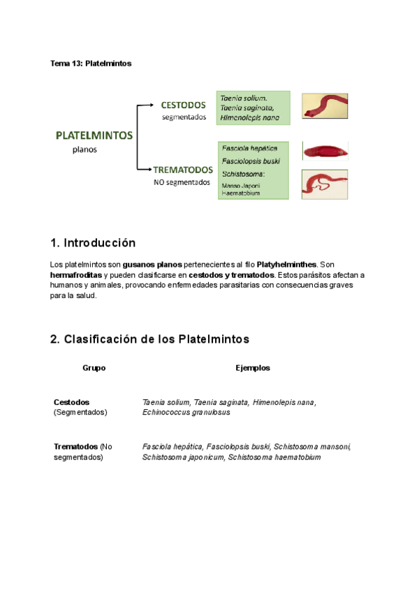 Miniatura del documento Tema-13-Platelmintos.pdf