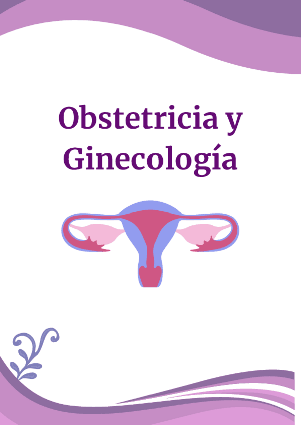 Miniatura del documento Portada-Ginecologia.pdf