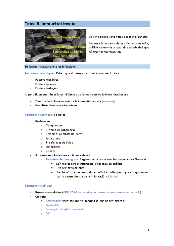 Miniatura del documento T3-IMM.pdf