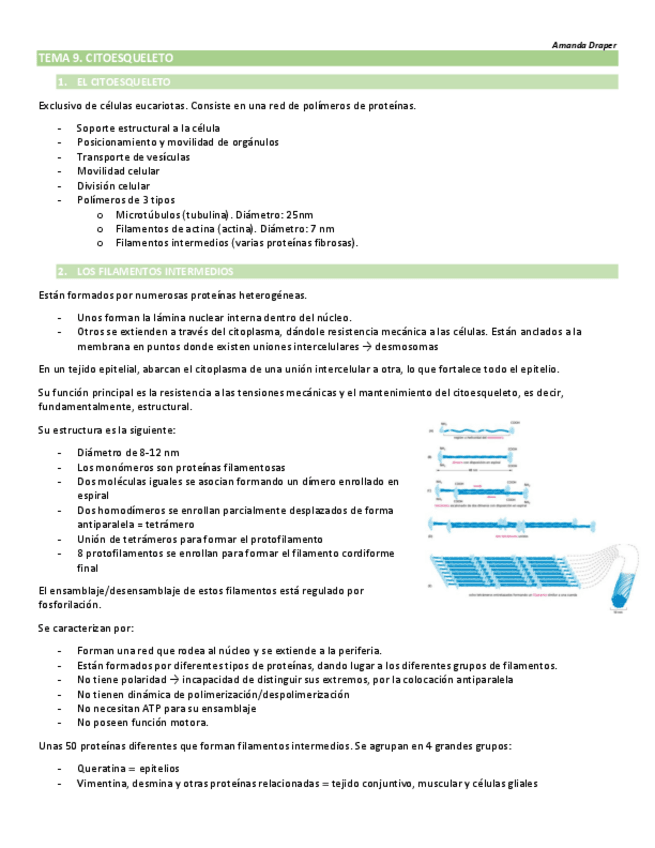 Miniatura del documento TEMA-9.-EL-CITOESQUELTO.pdf