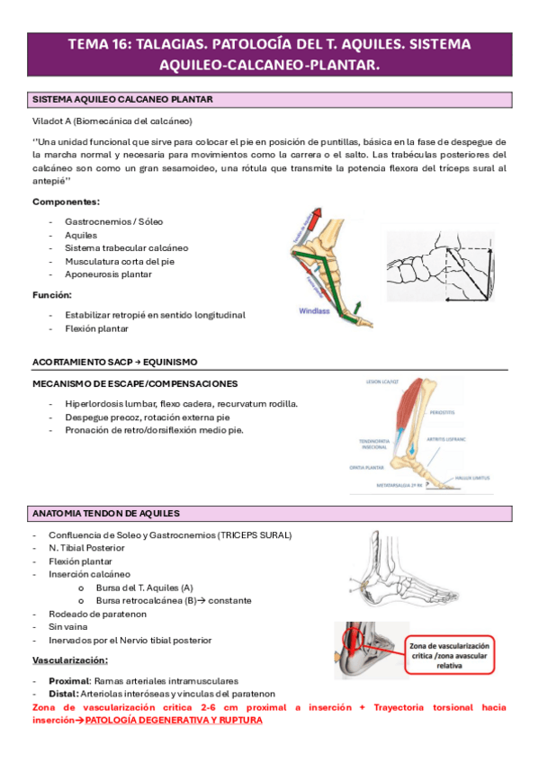 Miniatura del documento TEMA-16-CIRUGIA-TRAUMA-TALAGIAS.pdf