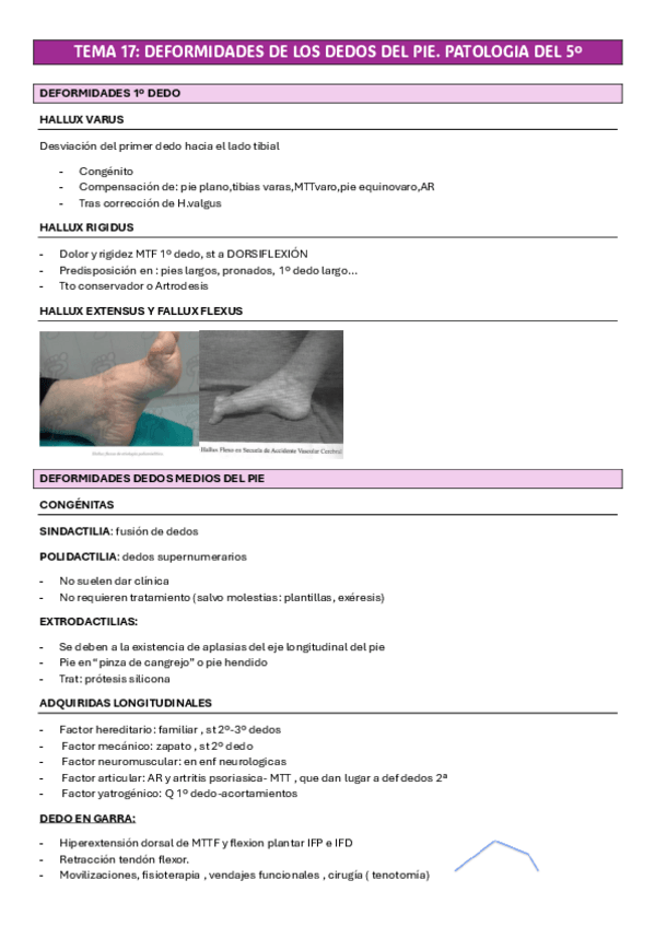 Miniatura del documento TEMA-17-CIRUGIA-TRAUMA-PATOLOGIAS-DEL-5.pdf