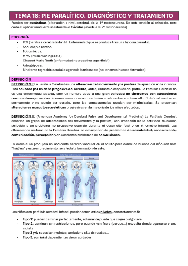 Miniatura del documento TEMA-18-CIRUGIA-TRAUMATOLOGIA-PIE-PARALITICO.pdf