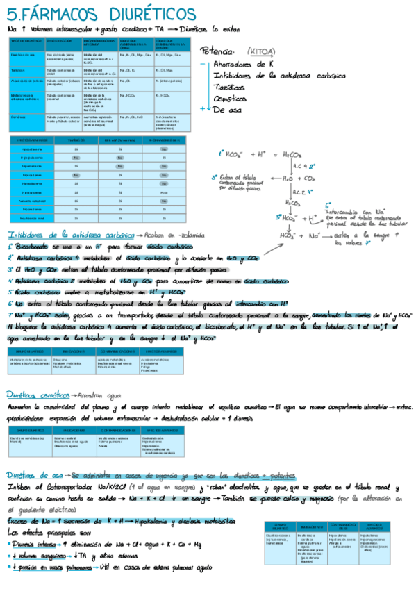 Miniatura del documento Esquemas-temas-desarrollo.pdf