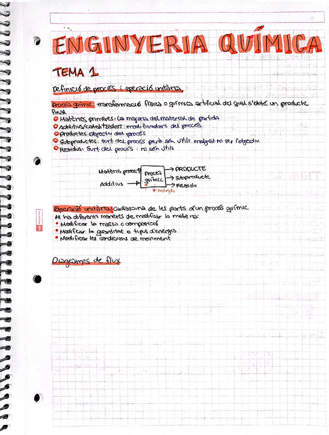 Miniatura del documento EngQuimApuntsAlbaCartro.pdf