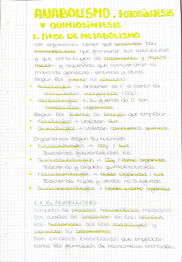 Miniatura del documento ANABOLISMO.-Fotosintesis-y-quimiosintesis.pdf