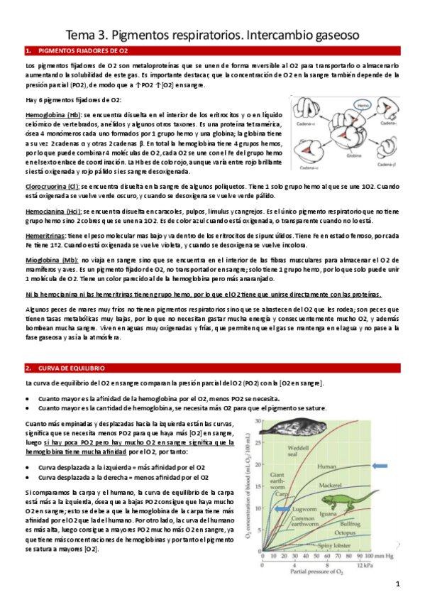 Miniatura del documento T3.-Pigmentos-respiratorios.-Intercambio-gaseoso.pdf