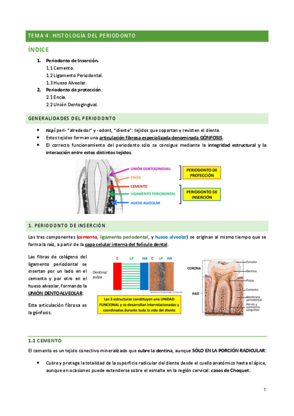 Miniatura del documento FISIO-Tema-4.pdf