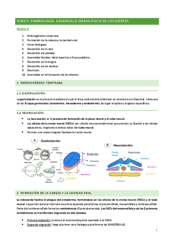 Miniatura del documento FISIO-Tema-5.pdf
