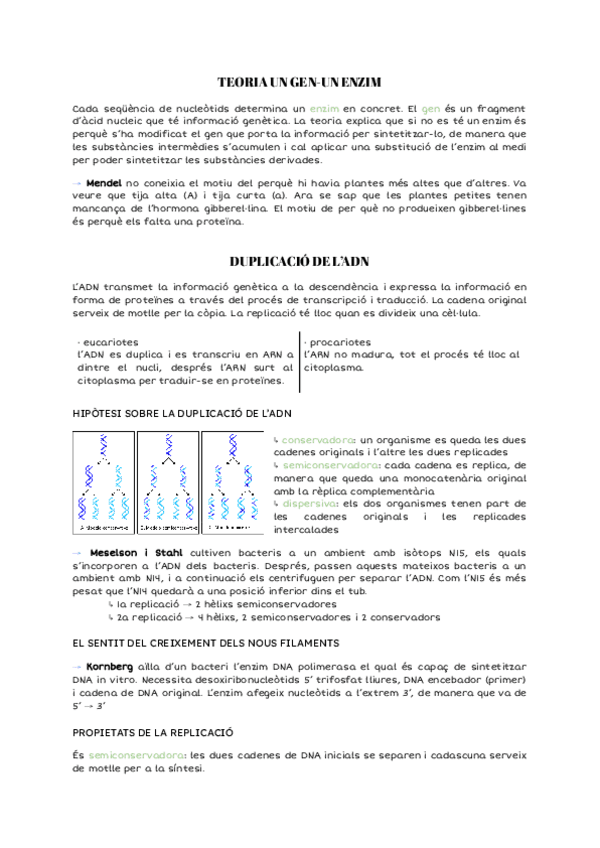 Miniatura del documento Flux-de-la-informacio-genetica.pdf