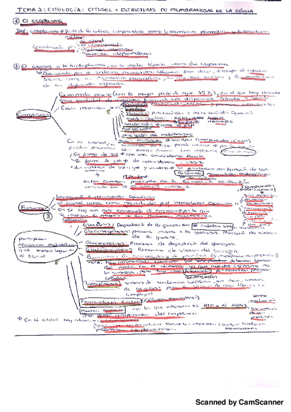 Miniatura del documento Citologia.pdf