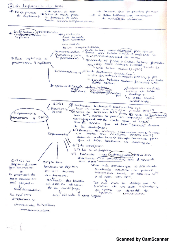 Miniatura del documento ADN.pdf