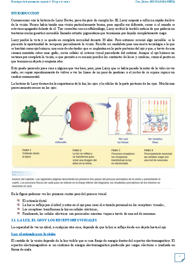 Miniatura del documento resumen-tema-3-percepcion.pdf