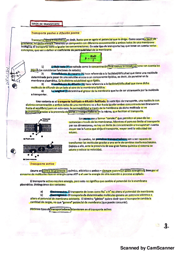 Miniatura del documento Transporte.pdf