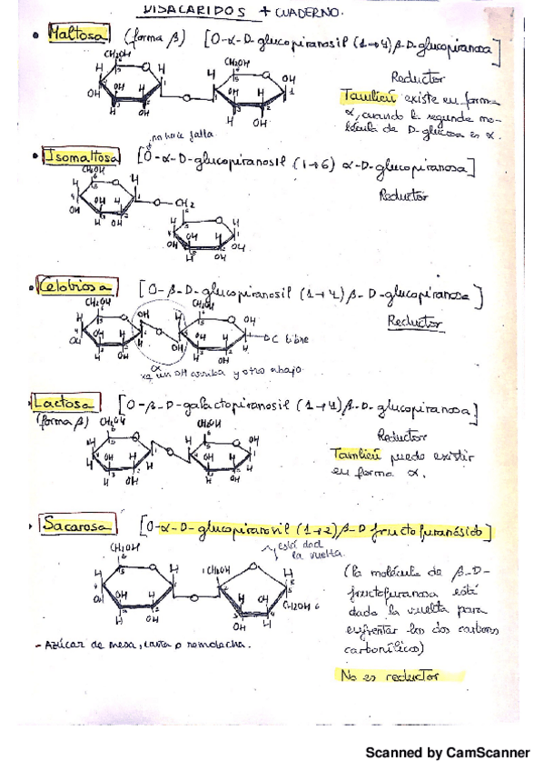 Miniatura del documento Disacaridos Bioq.pdf