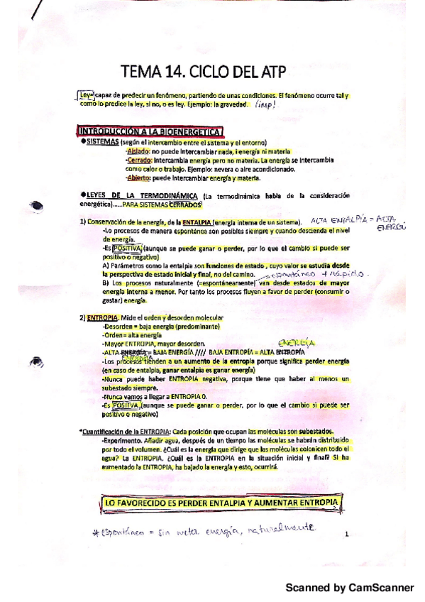 Miniatura del documento Ciclo del ATP.pdf