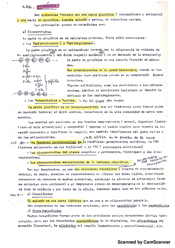 Miniatura del documento Heterosidos Bioq.pdf