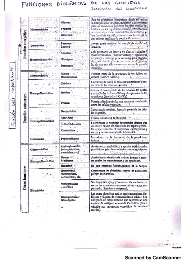 Miniatura del documento Glucidos Bioq.pdf