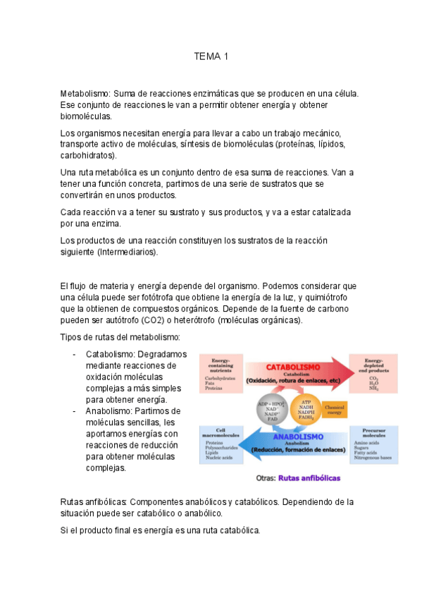 Miniatura del documento TEMA-1-BIOQUIMICA-II.pdf