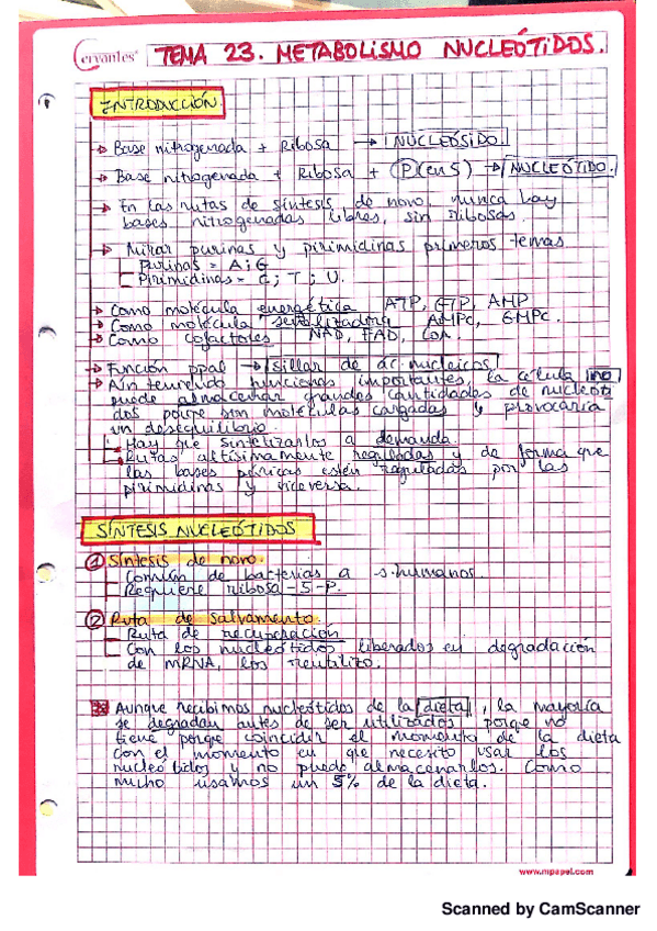 Miniatura del documento Met. Nucleotidos.pdf