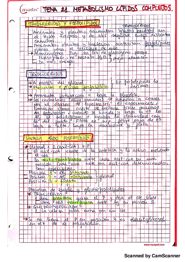 Miniatura del documento Met. lípidos complejos.pdf