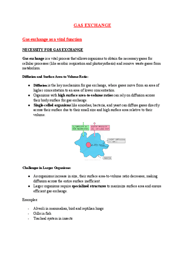 Miniatura del documento IB-biology-B3.1-Gas-exchange-SL-and-HL.pdf